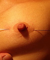 amateur Needle Torture