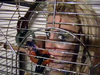The Bizarre Bird