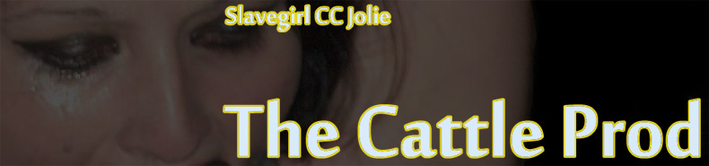 The Cattle Prod - Electro Pain