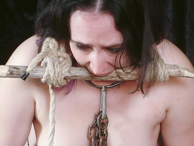 Electro Torments to Tears
