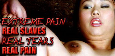 The Pain Files