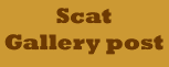 http://www.scatpleasure.com/