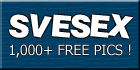 svesex.com